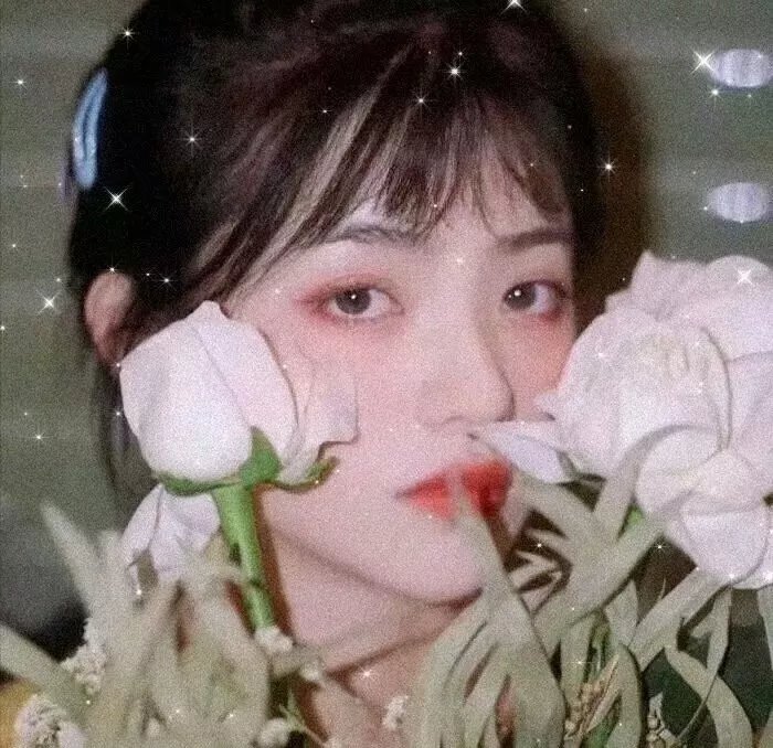 美国来的莫里斯